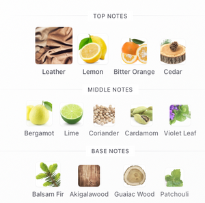 Memo Paris Sicilian Leather