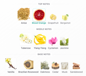 Fornasetti Frutto Probibito