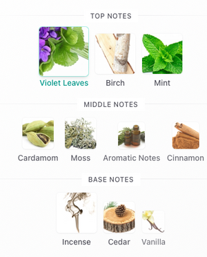 Eight & Bob Cap D'Antibes