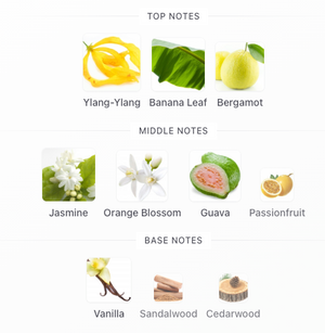 Zoologist Chameleon Tropical Blooms Edition