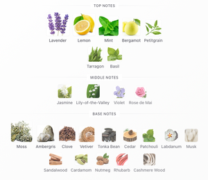 Roja Danger Scandal Parfum Cologne