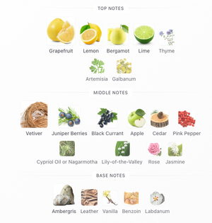 Roja Elysium Pour Homme