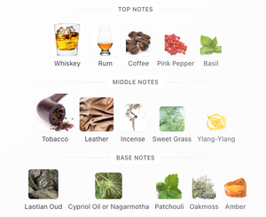 Zoologist Rhinocerous