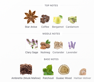 Ormaie Papier Carbone