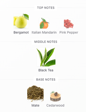 Dolce & Gabbana Velvet Infusion