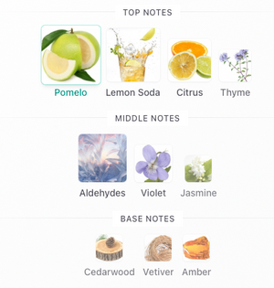 Soulvent Pomelo