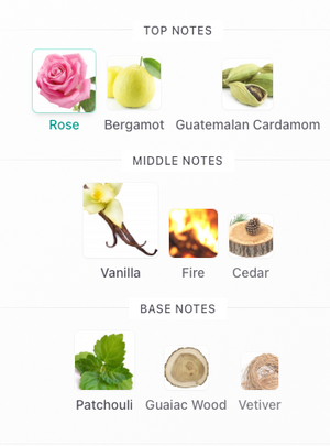 Le Persona LP04 Golden Gem