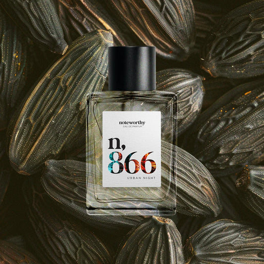 Noteworthy 866 Urban Night